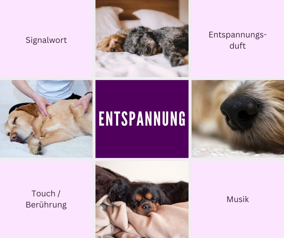 Entspannungssignale