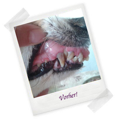 Vorher
