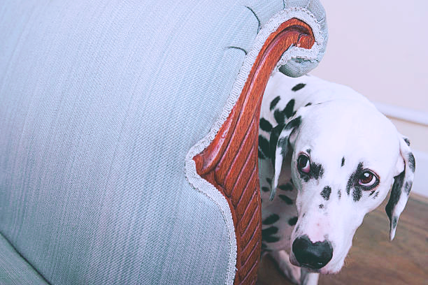 istockphoto 75403167 612x612 pastel